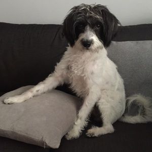 Meet your Posher, Jiin